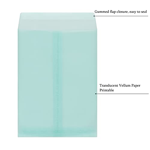 Wholesale (10 Pack) - Translucent Vellum Envelopes: Self-Seal for Cards, Wedding Invitations, Confetti Toss Bags, Photos, Graduation, Small Business, Party Favors, and Gift Wrapping