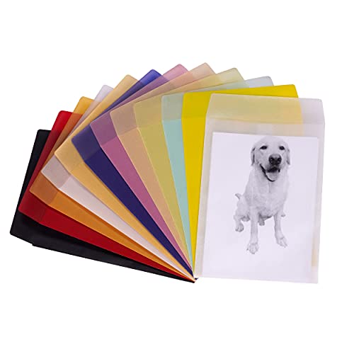 Wholesale (10 Pack) - Translucent Vellum Envelopes: Self-Seal for Cards, Wedding Invitations, Confetti Toss Bags, Photos, Graduation, Small Business, Party Favors, and Gift Wrapping